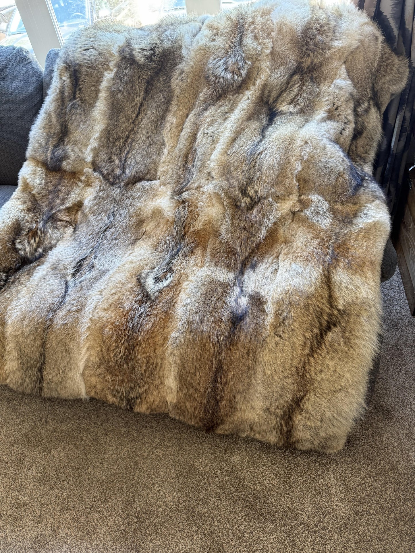 Coyote Fur Blanket 50 x 60