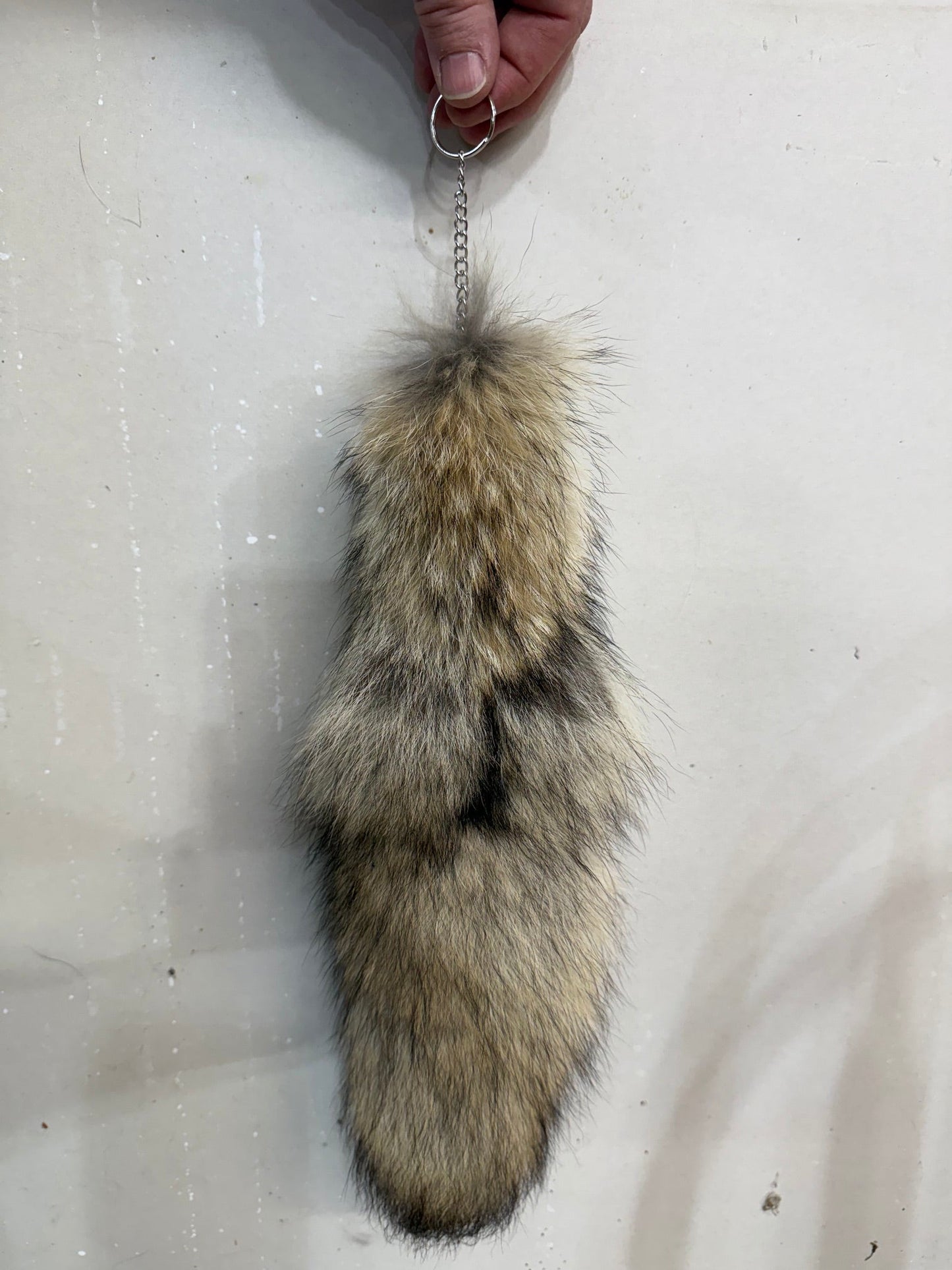Coyote Key Chain