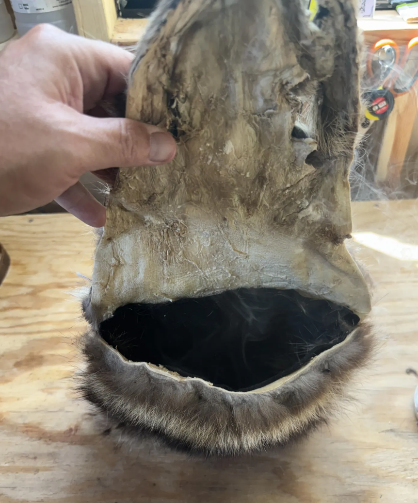 Hand-Stitched Raccoon Fur Possibles Bag – Sinew Sewn, Black Felt Lined