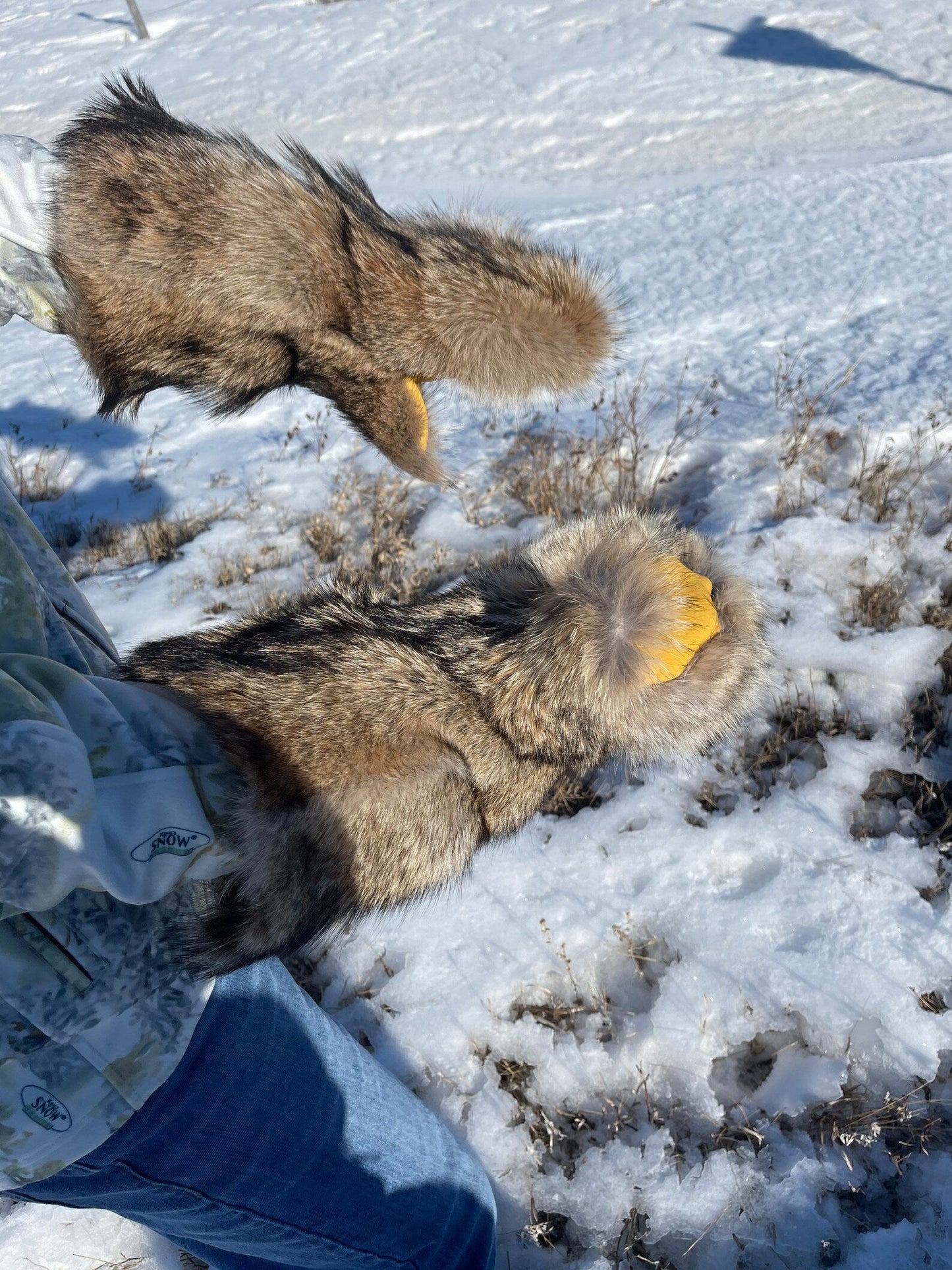 Coyote Fur Mittens