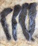 Squirrel Tails