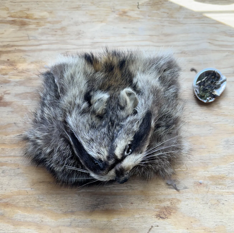 Hand-Stitched Raccoon Fur Possibles Bag – Sinew Sewn, Black Felt Lined