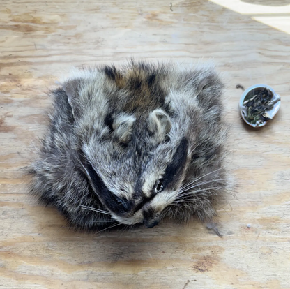 Hand-Stitched Raccoon Fur Possibles Bag – Sinew Sewn, Black Felt Lined